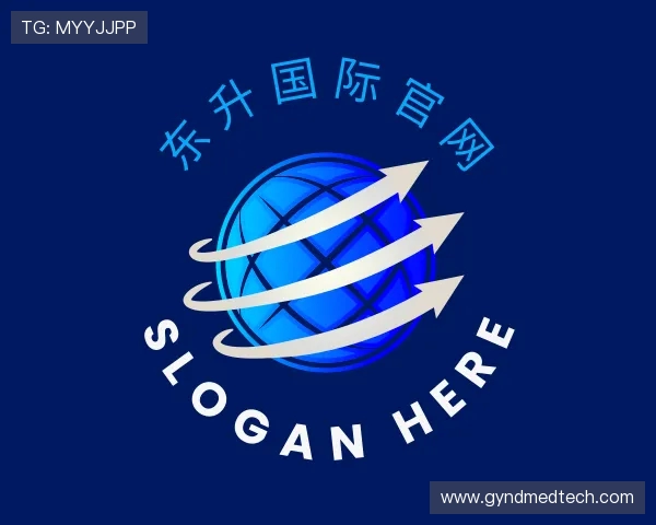 认识东升国际官网